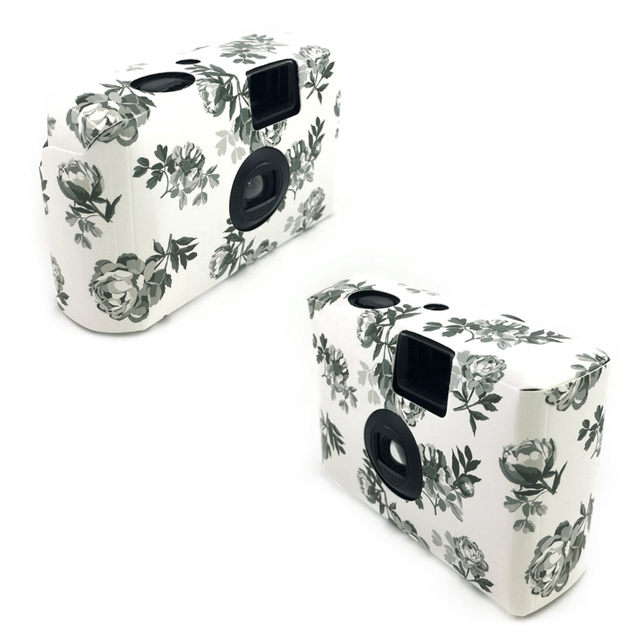 Drop Shipping High Quality OEM Custom Retro Cute Fool Disposable Film Camera 35mm Mini Small Gift Disposable Camera