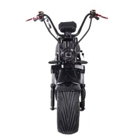 Scooter électrique intelligent à pneus larges de 12 pouces avec démarrage NFC, moteur sans balais de 3000 W, batterie au lithium de 40 Ah, étanche, Citycoco
