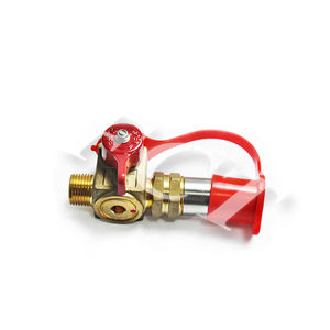 <span class=keywords><strong>Cng</strong></span> Gas Apparatuur Auto Gas Gnc Vulklep Elektrische Motor Dual <span class=keywords><strong>Fuel</strong></span> Auto Ngv1 Gas Bijvullen QF-T1H6 <span class=keywords><strong>Cng</strong></span> Vulklep Voor Auto 'S - Product Image 3