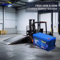 Batterie de chariot élévateur électrique au phosphate de fer et de lithium 48V 100Ah pour chariot élévateur à voie étroite, BMS avancé, MSDS, UN38.3, CE, RoHS