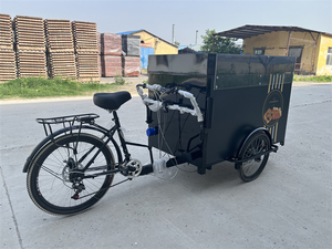 Carrito de bicicleta con espacio de carga para la entrega - Product Image 3