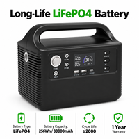 Station d'alimentation portable 300W 256Wh LiFePO4 80000mAh Multi-sorties USB-C DC AC Alimentation externe de stockage d'énergie pour l'extérieur