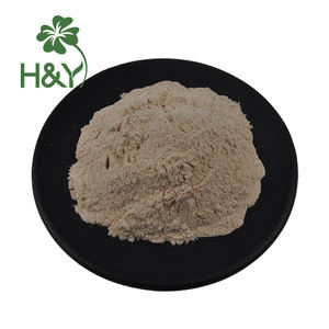 Healthway yüksek kaliteli <span class=keywords><strong>Papaya</strong></span> meyve tozu sağlar 100% suda çözünür meyve tozu <span class=keywords><strong>Papaya</strong></span> tozu - Product Image 2