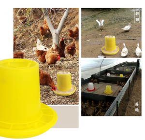 Cubo de plástico para alimentación de pollos, cuenco automático para granja avícola, 6kg - Product Image 5