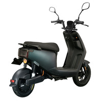 Scooter électrique haute performance certifié EU EEC COC, moteur sans balais 500W, batterie amovible, 50-60 km d'autonomie, étanche, 45 km/h