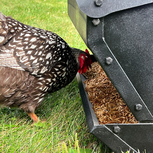 Mangeoires à poulet JH-Mech 15Kg <span class=keywords><strong>poudre</strong></span> manteau finition double Sider 50 Lbs tout Weled industriel nouveau modèle de mangeoire pour poulet - Product Image 3