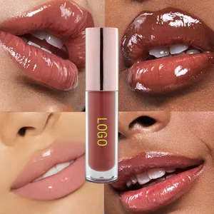 Kostenloses Verpackungs design Lippen öl Flüssiger Lippenstift Rosa Nude Lip gloss Klar Vegan Plump ing Lip gloss