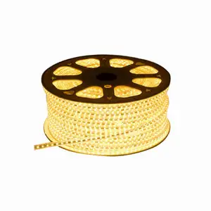 Hight điện SMD5050 2835 IP67 điều khiển từ xa 110 220 Volts RGB linh hoạt LED Strip ánh sáng không thấm nước