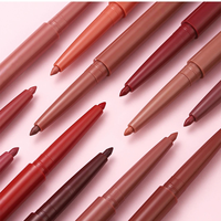 Crayon à lèvres rétractable anti-transfert, qualité professionnelle pour maquilleurs, pour les commandes en gros internationales