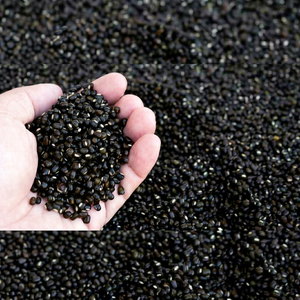 Lentilles noires Urad Dal riches en protéines et en fibres pour les préparations d'Idli et de Dosa, durée de conservation de 24 mois - Product Image 1
