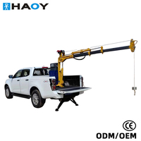 HAOY Grue de chantier 0,8 tonne avec télécommande pour camionnette
