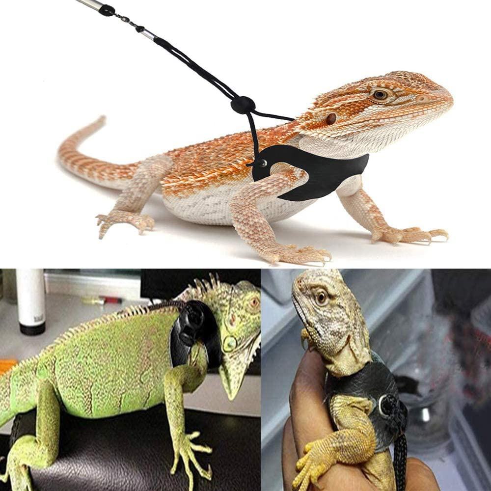 Lizard Leash Beard Dragon Harness And Leash Skirts Adjustable