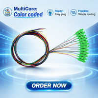 Fiber Optik Pigtail Fiber Pigtail 0.9mm Tight Buffer LSZH FTTH G657A1 12 Warna Bundel Pigtail SC APC Fiber Pigtail