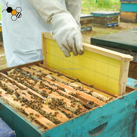 Neue Holz-Langstroth-Bienenstockrahmen mit integriertem Edelstahldraht, 20er-Pack und Wachsfundament