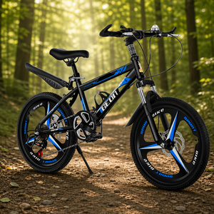 Vélo de montagne pour enfants avec roues intégrées en aluminium, amortissement de chocs de qualité supérieure, antidérapant, résistant à l'usure, siège réglable - Product Image 1
