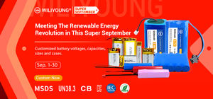 Isi Ulang 601835 602035 602040 621835 822024 3.7V 400Mah Lipo Battery PCM Baterai Polimer Lithium untuk GPS Tracker - Product Image 3