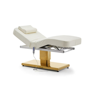 <strong>New</strong> Design <strong>Beauty</strong> <strong>Salon</strong> Furniture Treatment Bed Quality Assurance Full Electric Home Care Hospital Beds - Product Image 1