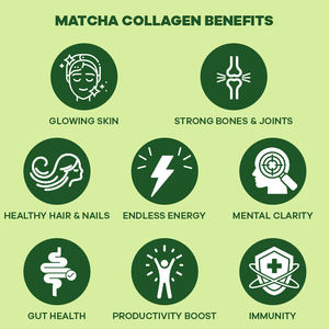 Poudre de Collagène Bio au <span class=keywords><strong>Matcha</strong></span> avec Champignon Cordyceps et Collagène Hydrolysé pour la Santé Intestinale, le Soutien Articulaire et le Renforcement Immunitaire - Product Image 5