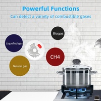 Detector de Fugas de Gas Multigas Inteligente con Wi-Fi Tuya para Hogar, Hotel o Garaje, Adaptador EU/UK/US, Detecta CH4, Gas Natural, Gas Licuado, Biogás