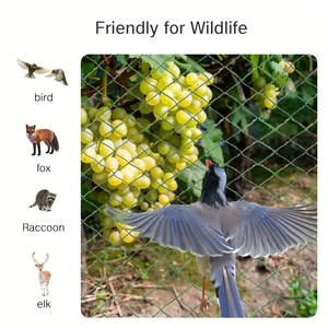 Filets de Protection pour étang à poissons Filet pour oiseaux de <span class=keywords><strong>fourmi</strong></span> de jardin Couverture de filet à mailles fines tissée pour empêcher les feuilles - Product Image 4