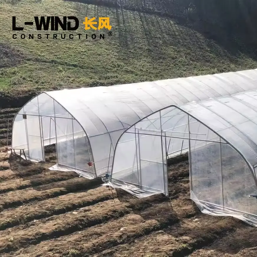 Plantación de vegetales agrícolas Single Span Plastic Film Túnel Arco Green House kit Invernadero