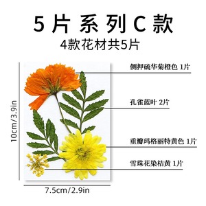Nouveau produit <span class=keywords><strong>fleurs</strong></span> de pression de <span class=keywords><strong>fleurs</strong></span> <span class=keywords><strong>séchées</strong></span> bricolage matériel sac <span class=keywords><strong>livre</strong></span> signe, tic-tac colle étui de téléphone portable spécimen de plante créatif - Product Image 4