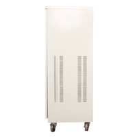 Stabilisateur de tension triphasé TNS 45KVA-100KVA 380V avec compteur analogique AVR pour machines médicales et industrielles lourdes