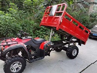 Quad 4x4 tout-terrain 250cc pour adultes, idéal pour le transport de marchandises agricoles et les remorques agricoles
