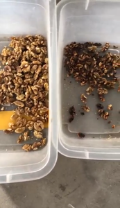 Separador óptico de almendras <span class=keywords><strong>SAN</strong></span> HE ZHONG con cámara CCD a todo color, clasificador de color inteligente para seleccionar almendras automáticas - Product Image 6