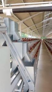 QM HY-JT-98 Gabbia per Polli a 3/4 Piani in Acciaio Zincato a Caldo, Nuova Allevatrice Automatica per Pollame e Quaglie - Product Image 3