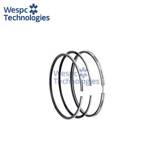 Jeu de segments de piston WESPC de haute qualité UPRK0002 pour moteur Perkins 1104 CAT 3054C, pièce de rechange pour tracteur et générateur - Product Image 2