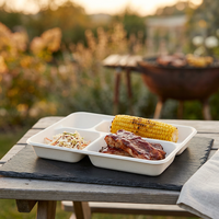 Eco-vriendelijke voedselcontainer van bagasse met vier compartimenten, duurzame cateringbenodigdheden voor restaurants en afhaalmaaltijden