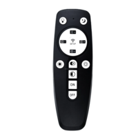 Télécommande compacte 13 touches RCT 013 de haute qualité à prix d'usine, corps en ABS avec IR/RF/Ble, commande vocale, code fixe, portée 10m