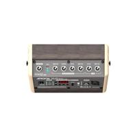 Amplificateur de guitare acoustique miniature AROMA AG-15A