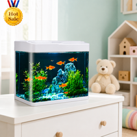 Petit aquarium rectangulaire en verre pour bureau, type fermé, écologique, pour poissons rouges et betta, faible entretien, mini aquarium