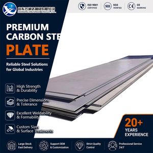 Punching Q345B S355JR <b>Pickled</b> 50mm 1250mm Drilling ASTM A36 Carbon Steel Sheet for Bridge Fabrication - Product Image 1
