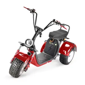 Goedkope Grote Wiel Elektrische Scooters Volwassen Citycoco 2000W 3 Wiel Fat Tire Elektrische Fiets 60V Off Road Dual motor Scootmobiel