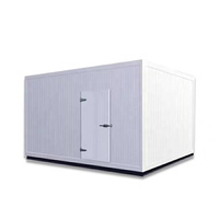 Chambre froide de plain-pied pour entrepôt, à basse température, taille personnalisable, pour la logistique de la chaîne du froid et la transformation de boulettes de viande