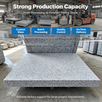 Carreaux de sol en granit gris naturel modernes, directement de l'usine, durables, écologiques, certifiés CE, 600x600mm, stock abondant pour les grands projets