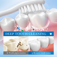 Dentifrice Probiotique Premium Menthe Rafraîchissante aux Herbes Anti-Caries Haleine Fraîche Nettoyage en Profondeur Protection de la Santé Bucco-Dentaire Usage Domestique