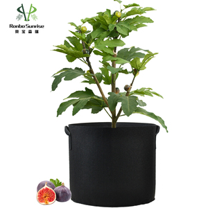 <span class=keywords><strong>Maceta</strong></span> <span class=keywords><strong>de</strong></span> vivero extra grande <span class=keywords><strong>de</strong></span> 20-45 galones para cultivo <span class=keywords><strong>de</strong></span> frutas y verduras, bolsa <span class=keywords><strong>de</strong></span> tela no tejida, Material <span class=keywords><strong>de</strong></span> fibra vegetal para jardinería <span class=keywords><strong>de</strong></span> flores - Product Image 5