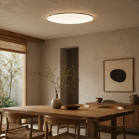 Lámpara de Techo con Difusor Esmerilado, Diseño Antideslumbrante, Luz Blanca Cálida Suave de 2700K, para Iluminación de Pasillos en Casas de Alquiler
