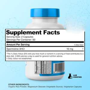 La poudre de spermidine complète les capsules de spermidine pour stimuler le système immunitaire - Product Image 2