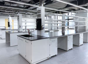 Table de laboratoire de haute qualité avec hotte intégrée et table de travail scolaire, banc de laboratoire, mobilier de laboratoire pour la recherche, établi de laboratoire - Product Image 2