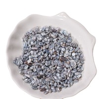 Perles d'eau douce grises naturelles colorées sans trous, baroques, irrégulières, en vrac, pour la manucure DIY et les autocollants pour ongles