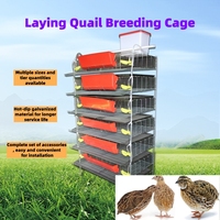 Vente Chaude Cage d'élevage automatique multi-niveaux pour cailles pondeuses, Équipement d'élevage de cailles pour ferme avicole