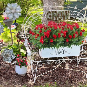 Planta Bonsái Artificial <span class=keywords><strong>de</strong></span> <span class=keywords><strong>Impatiens</strong></span> <span class=keywords><strong>de</strong></span> 7 Ramas, <span class=keywords><strong>de</strong></span> Alta Simulación y Aspecto Original, Flores <span class=keywords><strong>de</strong></span> Seda Hechas a Mano, Pequeñas Flores Dispersas Artificiales - Product Image 3