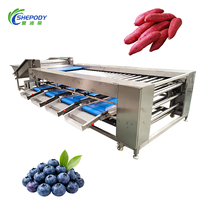 Machine de tri de fruits de petite taille Shepody en acier inoxydable 304 pour l'agrumation des avocats, raisins, fraises, fruits secs et légumes