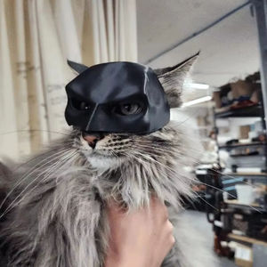 Máscara de Gato Vengador 2025 Mejorada, Talla Única para la Mayoría de los Gatos, Sombrero de Cosplay, Juguetes Divertidos, Máscaras para Gatos, Accesorios para Mascotas, Accesorios para Fotos - Product Image 6