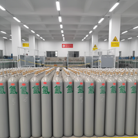 Cilindro de CO2 de 0.6m3, CE TPED ISO9809, Botella de Gas de Dióxido de Carbono de Acero sin Costuras, Recipiente a Presión, Fácil de Operar